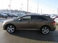 Golden Umber Mica - Venza V6 AWD Photo No. 5