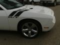 Bright White - Challenger R/T Photo No. 9