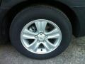 Ashen Gray Metallic - Impala LS Photo No. 18