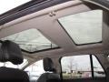 Charcoal Black/Grey Alcantara Sunroof Photo for 2009 Ford Edge #89585159