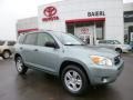 Everglade Metallic 2007 Toyota RAV4 4WD