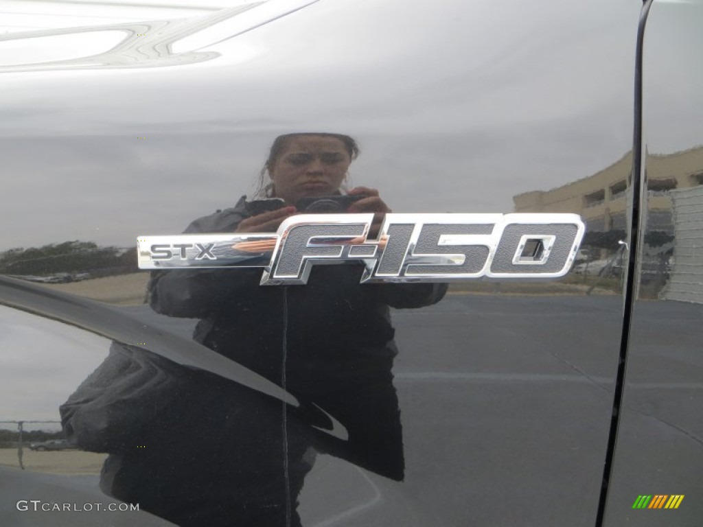 2014 F150 STX SuperCrew - Tuxedo Black / Steel Grey photo #13