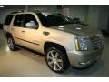 Quicksilver 2007 Cadillac Escalade AWD
