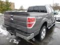 Sterling Grey - F150 XLT SuperCrew 4x4 Photo No. 2