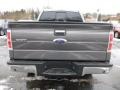 2014 Sterling Grey Ford F150 XLT SuperCrew 4x4  photo #3