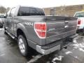 2014 Sterling Grey Ford F150 XLT SuperCrew 4x4  photo #4