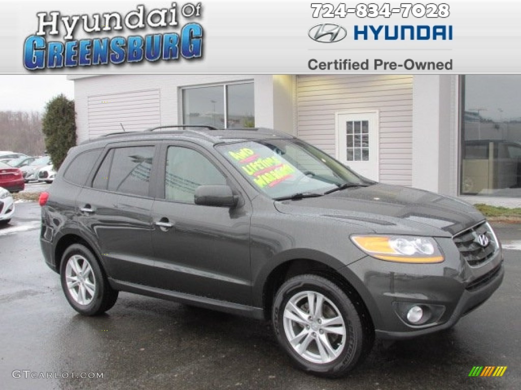 Black Forest Green Hyundai Santa Fe