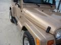 1999 Desert Sand Pearlcoat Jeep Wrangler Sahara 4x4  photo #9