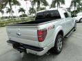 Ingot Silver Metallic - F150 FX2 SuperCrew Photo No. 6