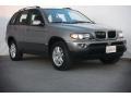 Sterling Grey Metallic 2004 BMW X5 3.0i