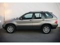 Sterling Grey Metallic - X5 3.0i Photo No. 9