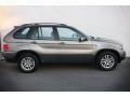 Sterling Grey Metallic 2004 BMW X5 3.0i Exterior