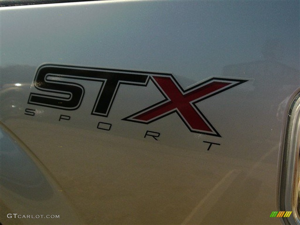2014 F150 STX SuperCrew - Ingot Silver / Black photo #13