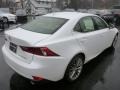 2014 Starfire Pearl Lexus IS 250 AWD  photo #4