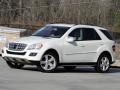 Arctic White - ML 350 4Matic Photo No. 2