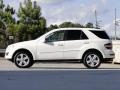 Arctic White - ML 350 4Matic Photo No. 8