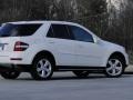 Arctic White - ML 350 4Matic Photo No. 33