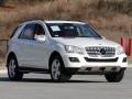 Arctic White - ML 350 4Matic Photo No. 41