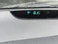 Silver Pine Mica - Prius Hybrid Photo No. 10