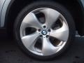 2010 BMW X6 ActiveHybrid Wheel and Tire Photo