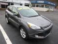 2013 Sterling Gray Metallic Ford Escape SEL 2.0L EcoBoost 4WD  photo #2