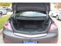 Graphite Luster Metallic - TL Advance Photo No. 14
