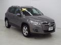 Alpine Grey Metallic - Tiguan S 4Motion Photo No. 2