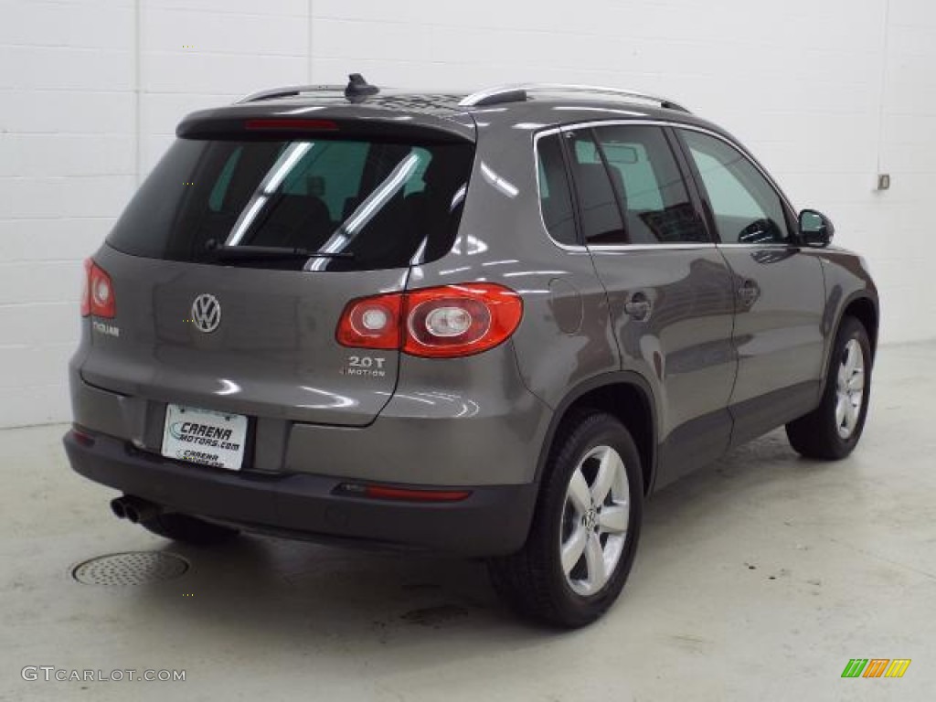 2010 Tiguan S 4Motion - Alpine Grey Metallic / Charcoal photo #3