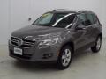 Alpine Grey Metallic - Tiguan S 4Motion Photo No. 4