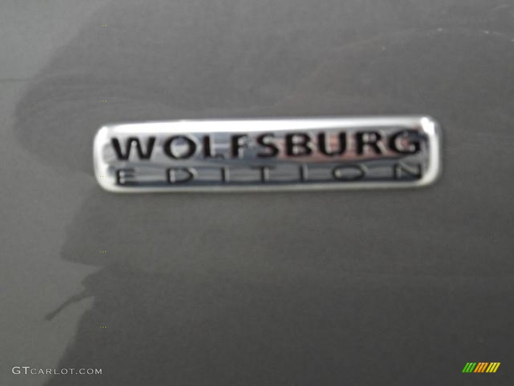 2010 Tiguan S 4Motion - Alpine Grey Metallic / Charcoal photo #8