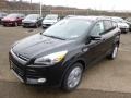 2014 Tuxedo Black Ford Escape Titanium 1.6L EcoBoost 4WD  photo #4