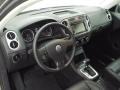 Alpine Grey Metallic - Tiguan S 4Motion Photo No. 21