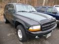 1999 Forest Green Pearlcoat Dodge Durango SLT 4x4  photo #5