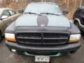 1999 Forest Green Pearlcoat Dodge Durango SLT 4x4  photo #6