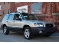 Champagne Gold Opalescent - Forester 2.5 X Photo No. 15