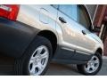 Champagne Gold Opalescent - Forester 2.5 X Photo No. 20