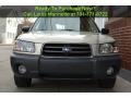 Champagne Gold Opalescent - Forester 2.5 X Photo No. 22