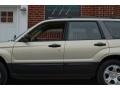 Champagne Gold Opalescent - Forester 2.5 X Photo No. 29