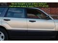 Champagne Gold Opalescent - Forester 2.5 X Photo No. 30