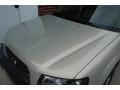 Champagne Gold Opalescent - Forester 2.5 X Photo No. 33