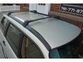 Champagne Gold Opalescent - Forester 2.5 X Photo No. 36