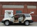 Champagne Gold Opalescent - Forester 2.5 X Photo No. 39