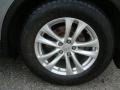 Platinum Graphite - FX 35 AWD Photo No. 14