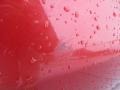 Barcelona Red Metallic - Camry SE V6 Photo No. 10