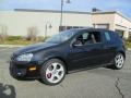 Black Magic Metallic - GTI 2 Door Photo No. 3