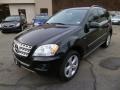 Black - ML 350 BlueTEC 4Matic Photo No. 3