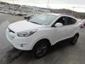 Winter White 2014 Hyundai Tucson SE AWD Exterior