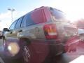 Light Khaki Metallic - Grand Cherokee Laredo Photo No. 2