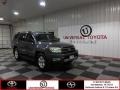 Galactic Gray Mica 2004 Toyota 4Runner SR5