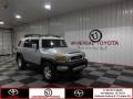 Titanium Metallic - FJ Cruiser 4WD Photo No. 1